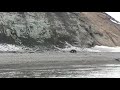 Спасаясь от медведя, житель Камчатки прыгнул в реку