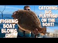 BOAT BLOWS UP! | TURBOT FISHING UK | BIG BRILL, CUTTLEFISH, DOGFISH & MORE