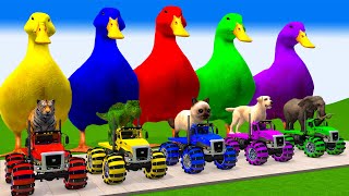 5 Giant Duck, Monkey, Piglet, chicken, dog, cat, cow, Sheep, Transfiguration funny animal 2023