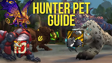 Best Hunter Pets Guide (Patch 11.2) | Max DPS Pet, Utility, Raid, Mythic+ | The War Within Season 3