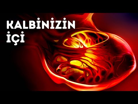 Video: 2017'de Kalbinizi Nasıl Kırmazsınız?