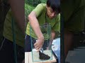 小物釣りとアクアリウム #outdoor #aquarium #アクアリウム #釣り#日本淡水魚