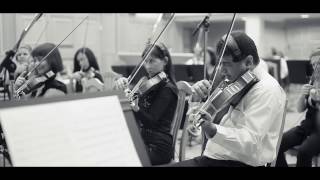 Video thumbnail of "Mr. Vasovski - Vasovski Symphonic"
