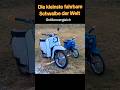 Die kleinste Schwalbe der Welt. Größenvergleich.