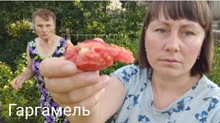 Download Lagu Чи схожі ми з сестрою? Знову черепаха! Зацвів японський гладіолус! Стрижка для тата! MP3 Download Lagu Чи схожі ми з сестрою? Знову черепаха! Зацвів японський гладіолус! Стрижка для тата! MP3