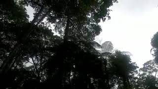 Kejar segmen erek-erek bike park