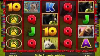 Bear Tracks - Novoline Spielautomat Kostenlos Spielen