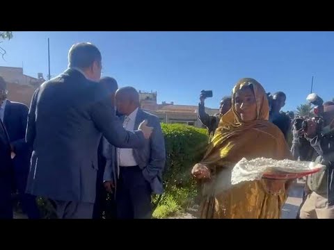 Видео: Встреча Сергея Лаврова у  памятника Пушкину в Эритрее