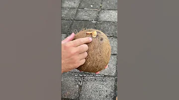 Что внутри этих КОКОСОВ?! 🥥 #бали #авызналиэто #кокосы