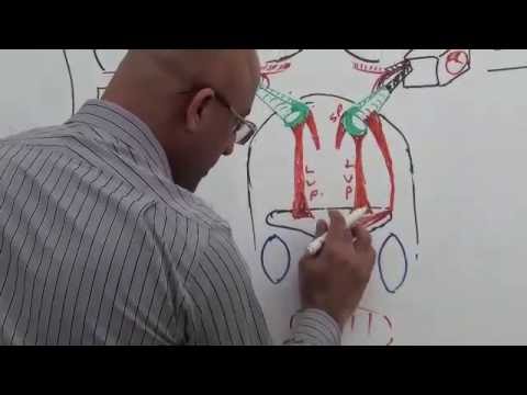 Middle Ear - Gross Anatomy - Part 7/9 - YouTube