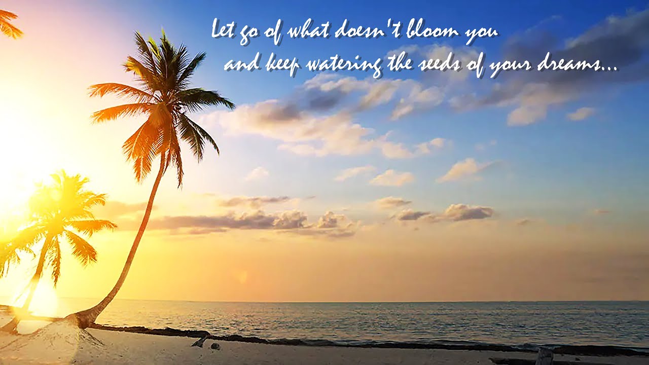 Life Lessons | Watering the seeds of your dreams. - YouTube
