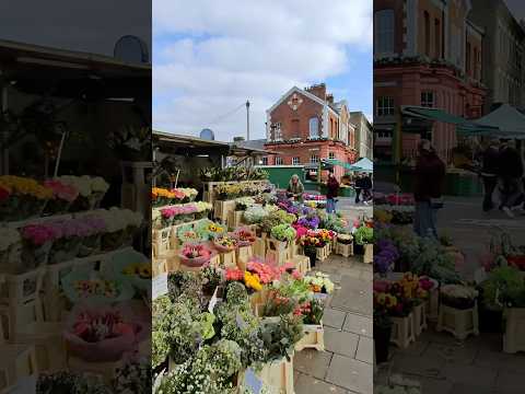 Shopping Locally - Chiswick - Michael Barrymore