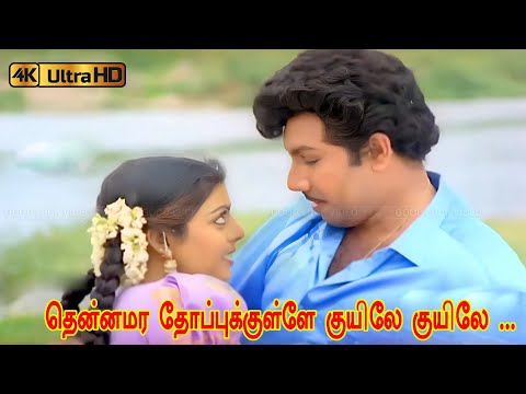 த ன னமர த ப ப க க ள ள க ய ல க ய ல ப டல Thennamara Thoppukkulle Kuyile Kuyile Song Spb Janaki 