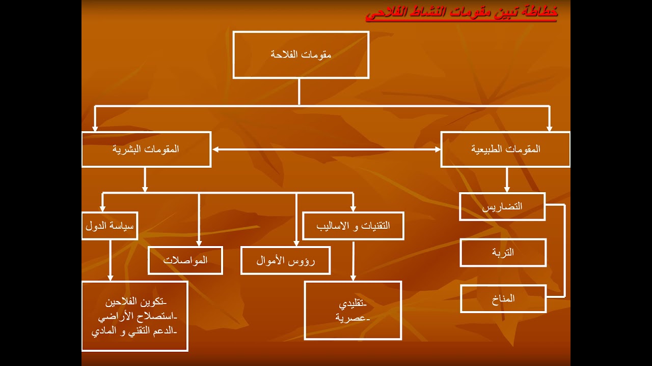 أنشطة السكان الفلاحة