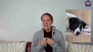 Gentle Pet Goodbyes at Home with Caring Pathways
