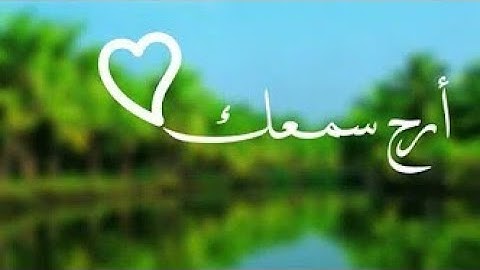 قرآن كريم بصوت القارئ:سلمان العتيبي|| أجمل حالات واتس اب دينيه|| تلاوة خاشعة💚🌿
