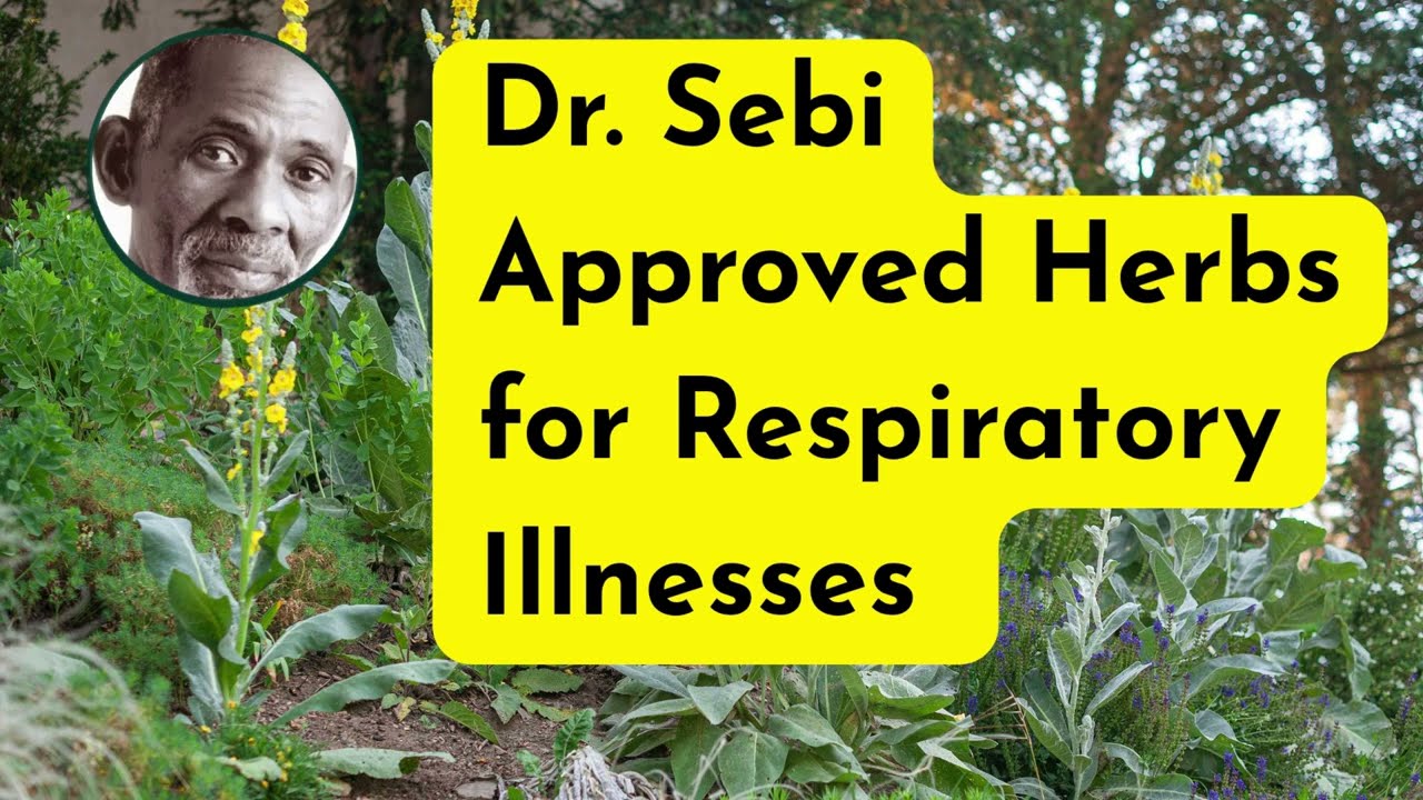 DR. SBI APPROVED HERBS FOR RESPIRATORY ILLNESSES
