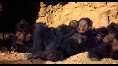 M83 - Wait (Unofficial Music Video)