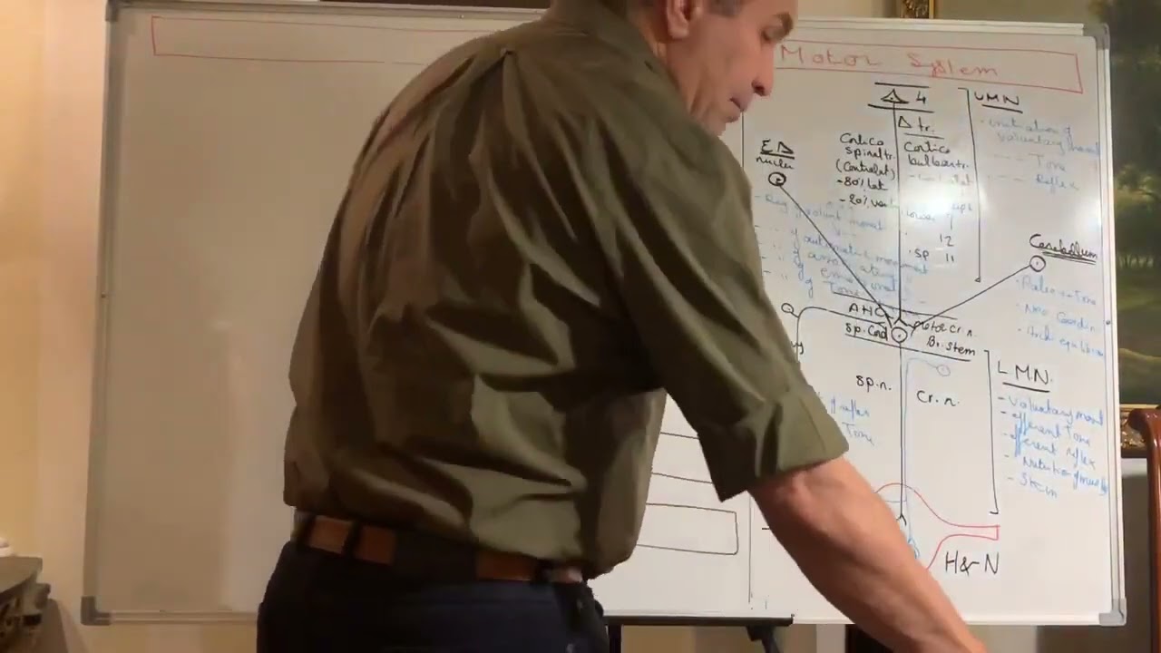 Clinical neurology (5) Dr. Ashraf Zaki