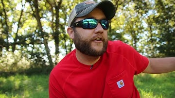 How to Identify and Combat Army Worms