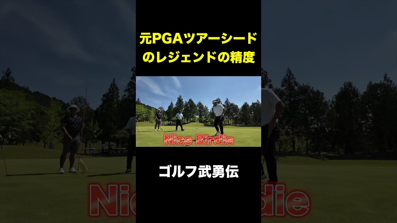 元Pgaツアーシードレジェンドの精度がすごい　#shorts