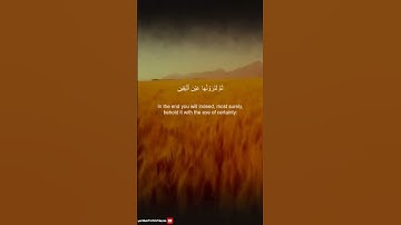 سورة التكاثر # الشيخ ابوبكر الشاطري #اكسبلور #المصحف #راحة_نفسية #الرحمن #قران_كريم #استغفر_الله