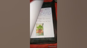 M.ed Second semester Files 👍 #csjmu #shorts_