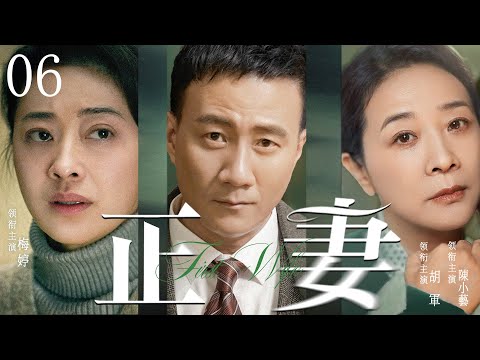 都市情感電視劇【正妻】▶ 06 | 丈夫賭博成性，妻子帶著兒子離婚，住在了同是離婚男胡軍的房子中，兩人心生愛慕，不料前妻和前夫突然出現，舊愛重逢，昔日良緣變孽緣（胡軍、梅婷、陳小藝） 💖中劇放映廳