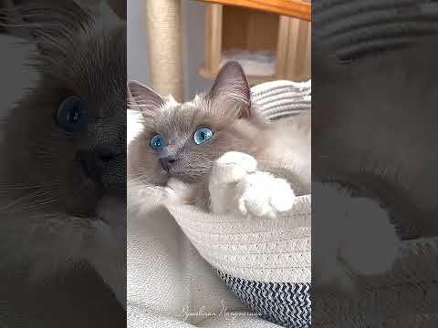 Лучший подарок - это который отражает внимание и оставляет след в сердце! 💜❤