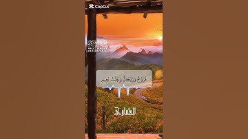 تلاوة اسطورية للشيخ محمود سالمان الحلفاوي #القران_الكريم #المنشاوي #إذاعة_القرآن_الكريم #لايك #تلاوا