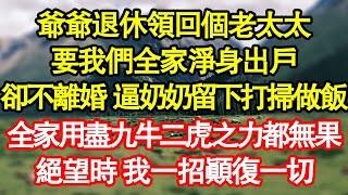 爺爺退休領回個老太太,要我們全家淨身出戶,卻不離婚 逼奶奶留下打掃做飯,全家用盡九牛二虎之力都無果,絕望時 我一招顛復一切 真情故事會|老年故事|情感需求|養老|家庭