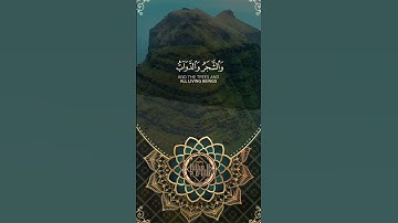 ألم تر أن الله يسجد له من في السموات ومن في الأرض | الآية 18 من سورة الحج بصوت القارئ ياسر الدوسري