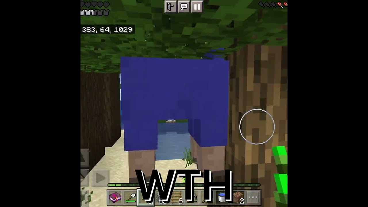 WTH Minecraft blue sheep?