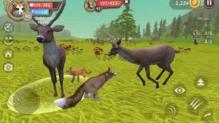 WildCraft: Animal Simulator Online 3D - Gameplay 01 screenshot 4