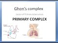 Pathology 158 a Ghon complex primary tuberculosis secondary lung focus children child miliary lesion