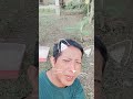 Kucing Berjemur 23 Mei 2026 sebelum kicau Mania