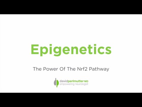 Video: Cyanidin-3-glucosid Aktiverer Nrf2-antioxidant Responselement Og Beskytter Mod Glutamat-induceret Oxidativt Og Endoplasmatisk Retikulumstress I HT22 Hippocampale Neuronale Celler