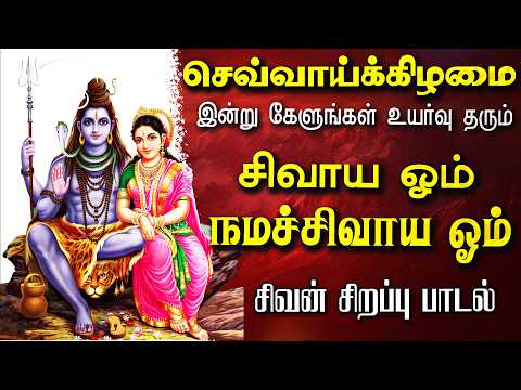 🔴LIVE SONGS | செவ்வாய்க்கிழமை கேட்க வேண்டிய சிவன் பாடல் சிவாய ஓம் நமச்சிவாய ஓம் Sivan Tamil Song