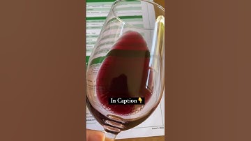 WSET Level 3 Award in Wines Tasting Tip - WSET Courses - Napa Valley Wine Academy