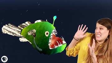 Why Do Deep Sea Creatures Look So Scary?