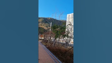 Test A6 Plane Flying Bad #viral #video #foryou ##shorts #test