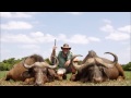 Cape Buffalo Hunt