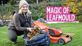 The Magic of Leafmould