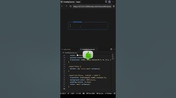 ✨ Floating Label Input using HTML & CSS #webdevelopment #coding #htmlcss #shorts