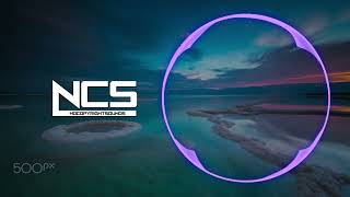 Said The Sky - Stay (feat. Lil Lotus) [NCS Fanmade]