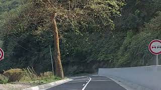 Road trip from View point of Lomba do Cavaleiro to Ribeira Quente, Sao Miguel, Portugal