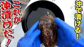 I Marinated Live Cuttlefish Squid In Soy Sauce One Week Later I Drank With It Youtube