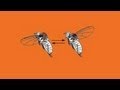 How a fly flies  michael dickinson
