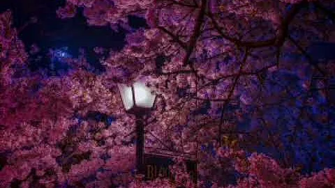 Asian relaxing music - japanese-chinese traditional music for relaxing, sleep, meditation