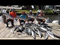 THIS IS HOW WE MAKE OUR MONEY!! (Commercial King fishing) |Commercial Fishing|